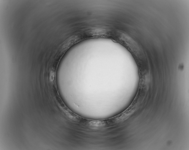 X0000097300281200803071758