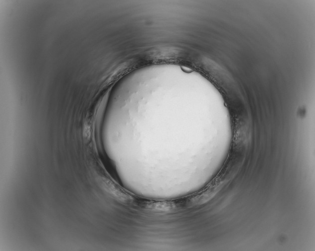 X0000097300282200803071758