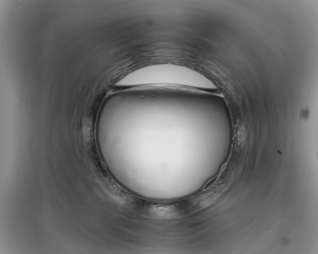 X0000097300283200803071758