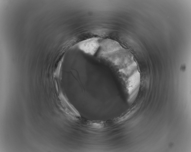 X0000097300285200803071758