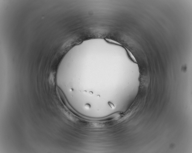 X0000097300286200803071758