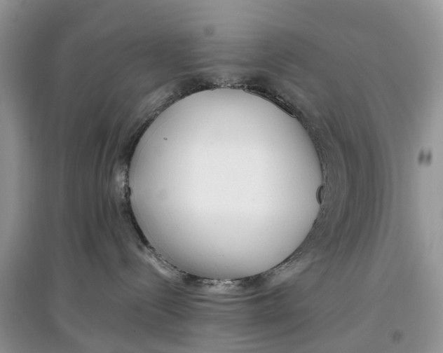 X0000097300288200803071758