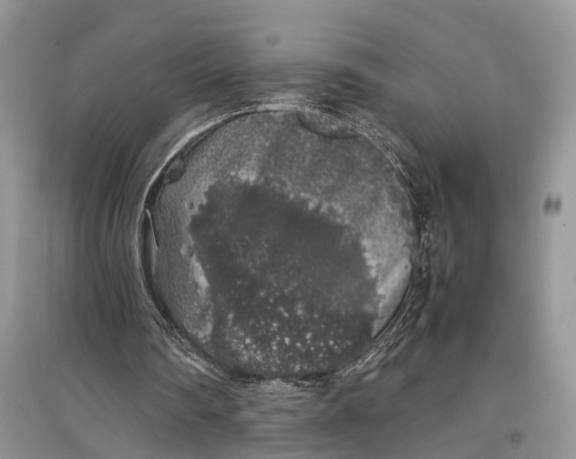 X0000097300290200803071758