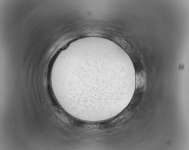 X0000097300291200803071758