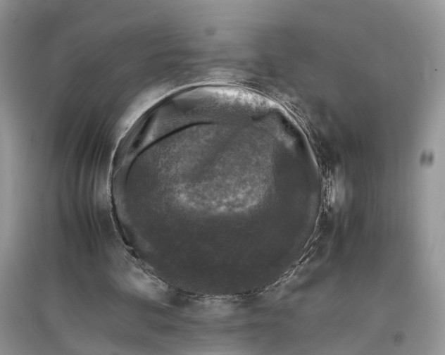 X0000097300292200803071758