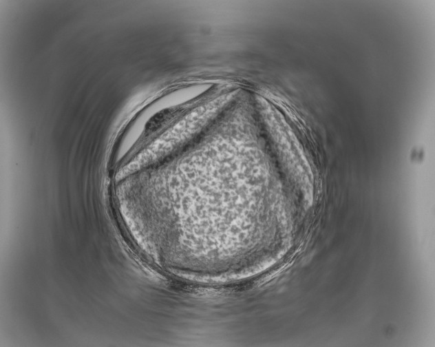 X0000097300293200803071758