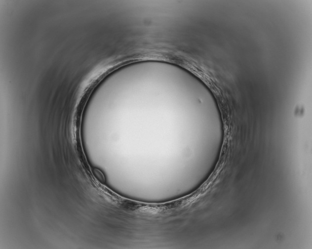 X0000097300294200803071758