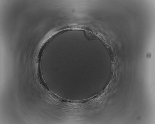 X0000097300295200803071758