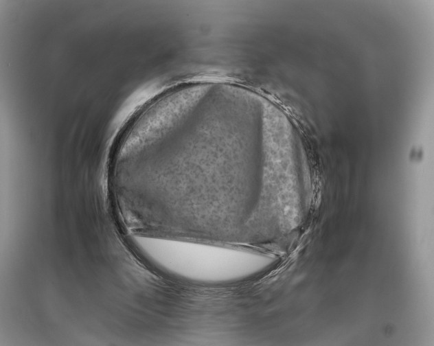 X0000097300296200803071758