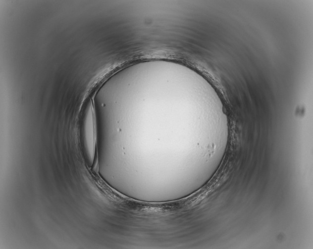 X0000097300298200803071758