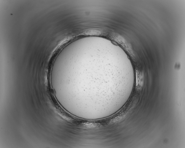 X0000097300300200803071758