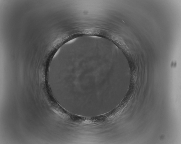 X0000097300303200803071757