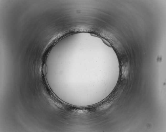 X0000097300304200803071757