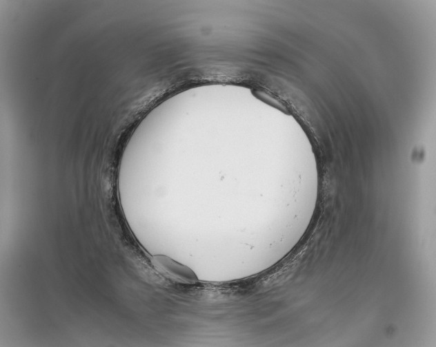 X0000097300305200803071757