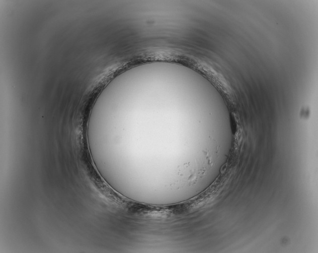 X0000097300306200803071757