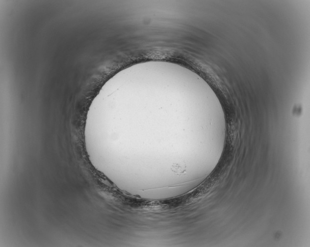 X0000097300307200803071757