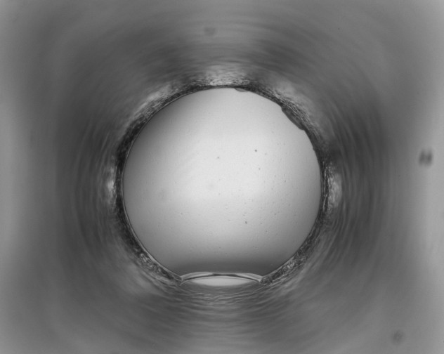 X0000097300308200803071757