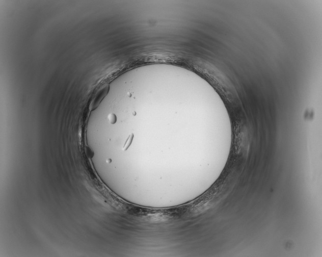 X0000097300310200803071757