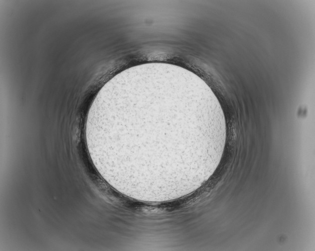 X0000097300311200803071757