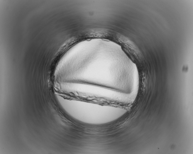 X0000097300312200803071757