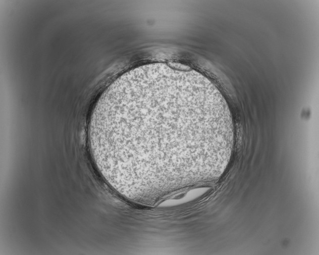 X0000097300313200803071757