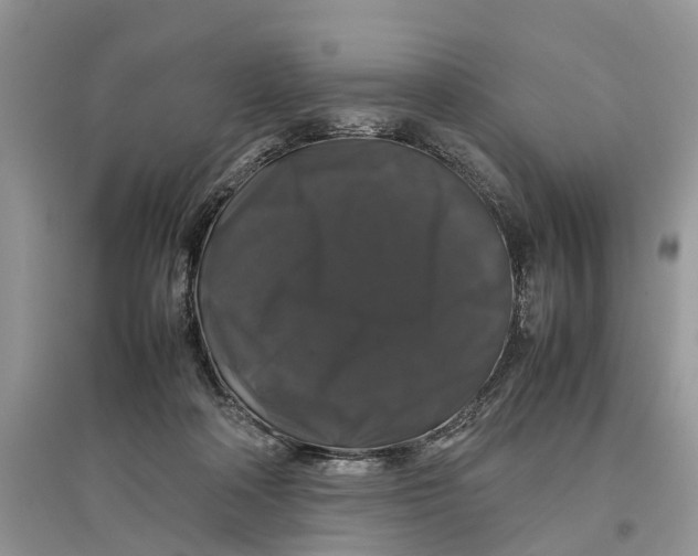 X0000097300314200803071757