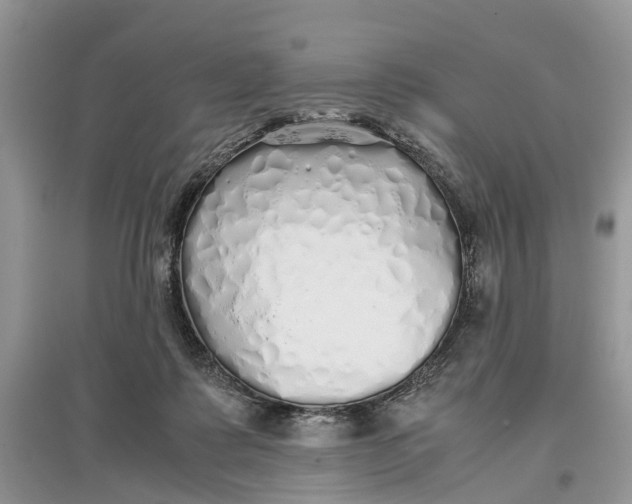 X0000097300315200803071757