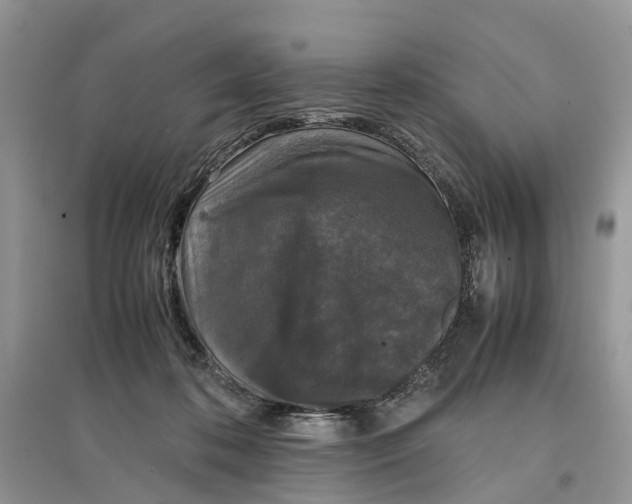 X0000097300316200803071757