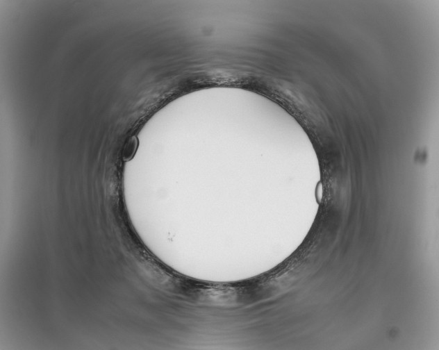 X0000097300317200803071757