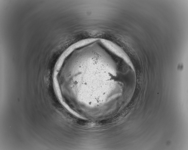 X0000097300319200803071757