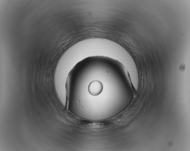 X0000097300320200803071757