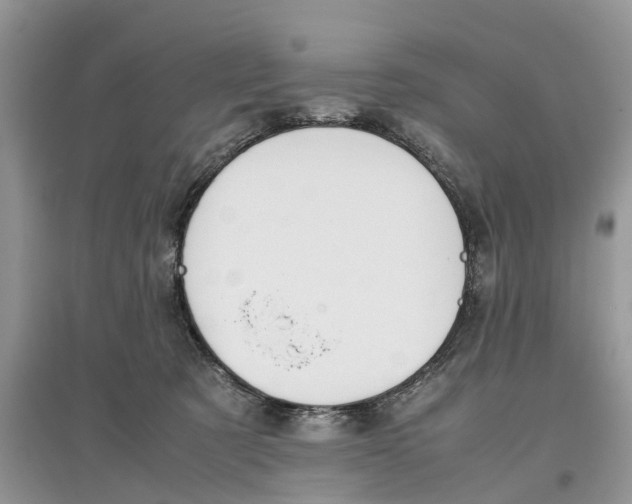 X0000097300321200803071757