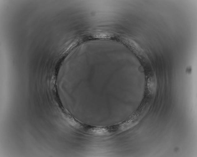 X0000097300322200803071757