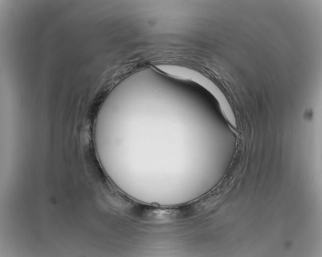 X0000097300323200803071757