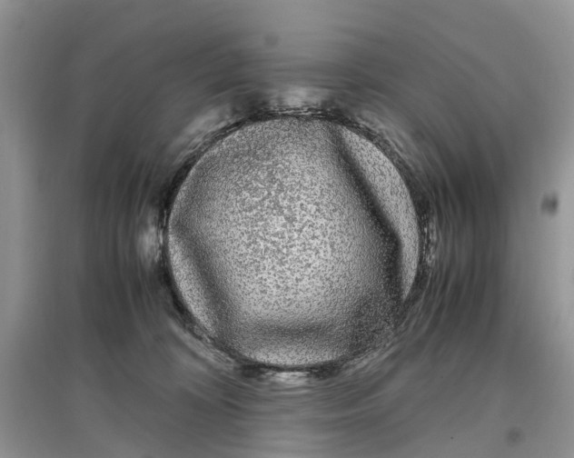 X0000097300324200803071757