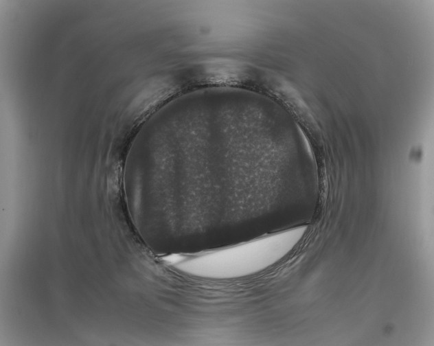 X0000097300325200803071757