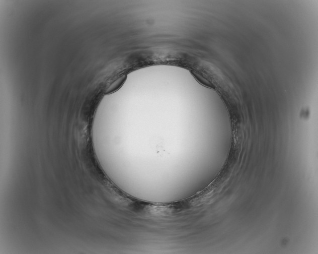 X0000097300327200803071757