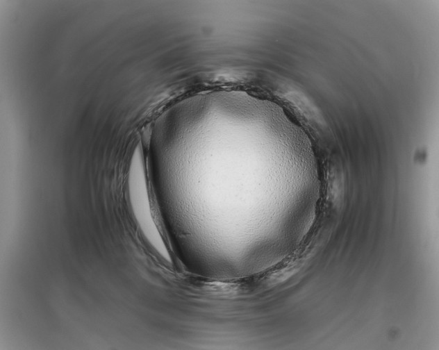 X0000097300328200803071757