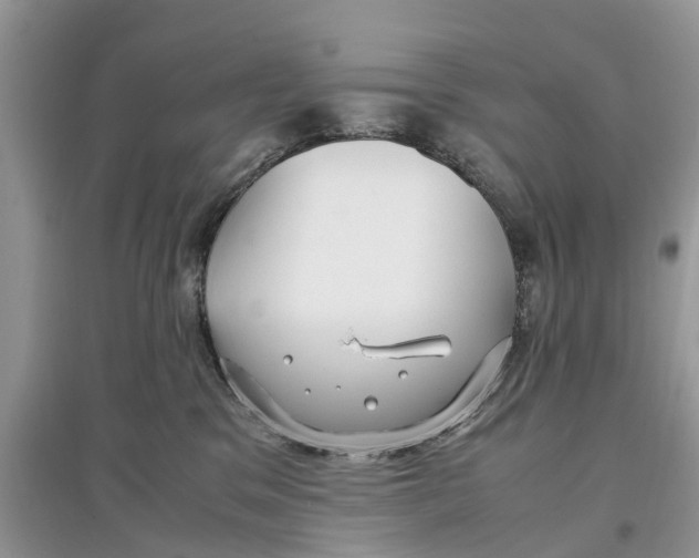 X0000097300329200803071757