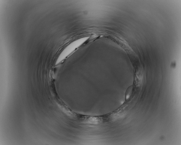 X0000097300330200803071757