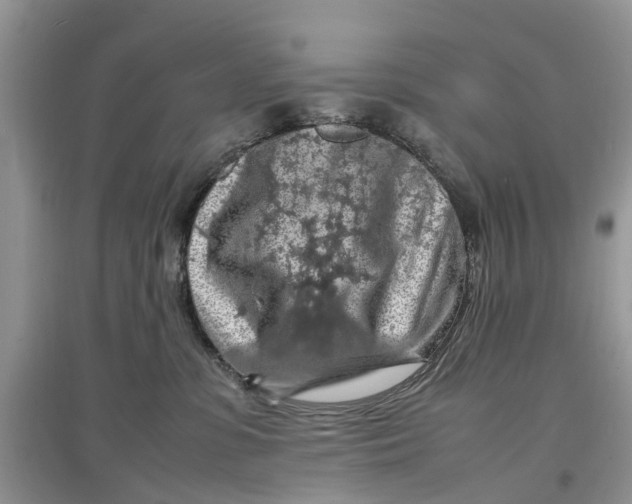 X0000097300331200803071757