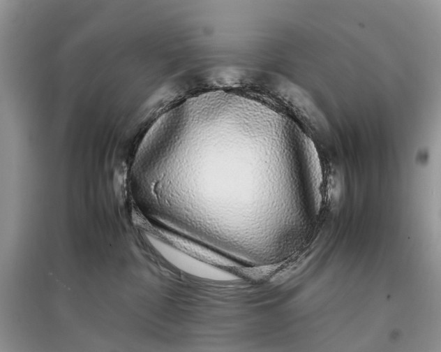 X0000097300332200803071757