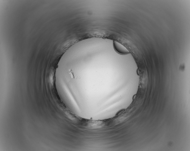 X0000097300334200803071757