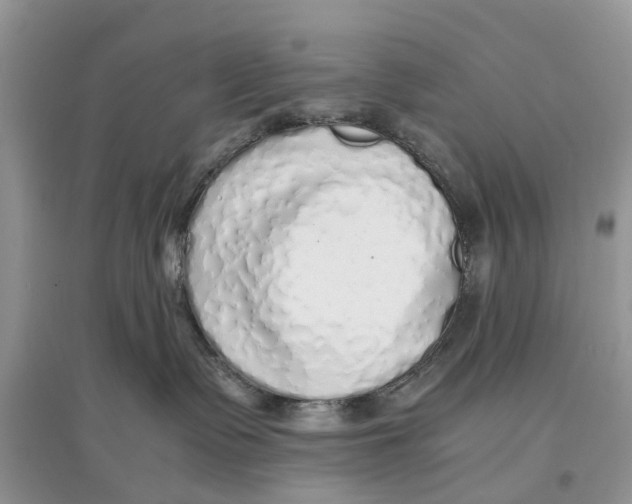 X0000097300335200803071757