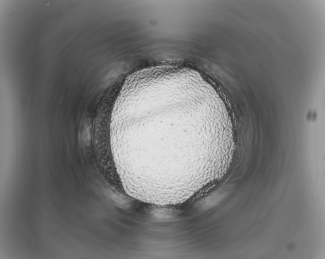 X0000097300336200803071757