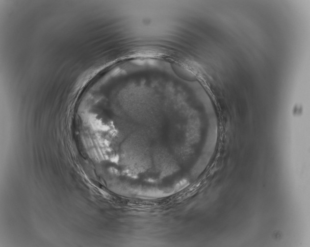 X0000097300337200803071756