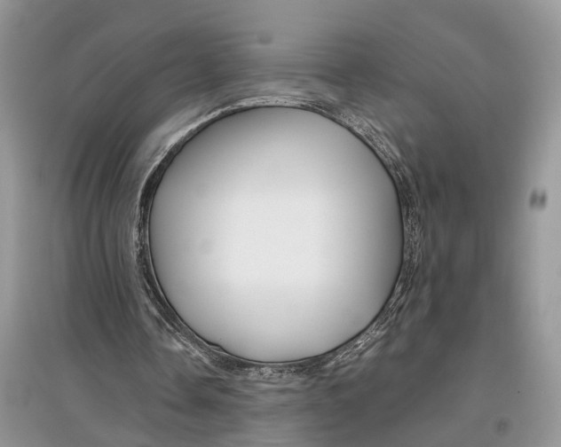 X0000097300338200803071756