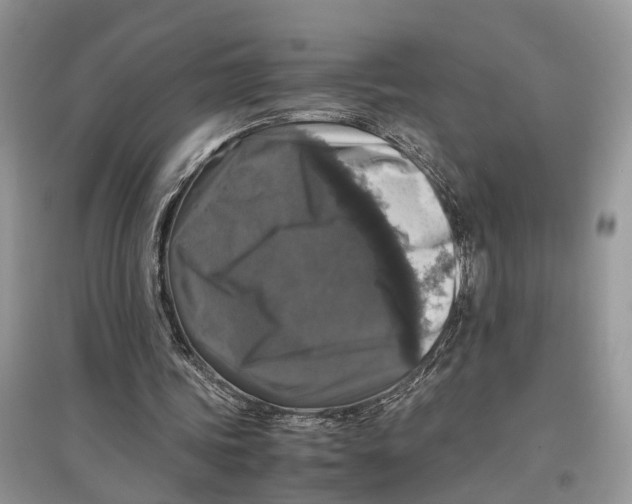 X0000097300339200803071756