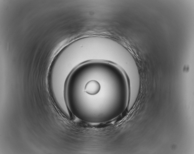 X0000097300340200803071756