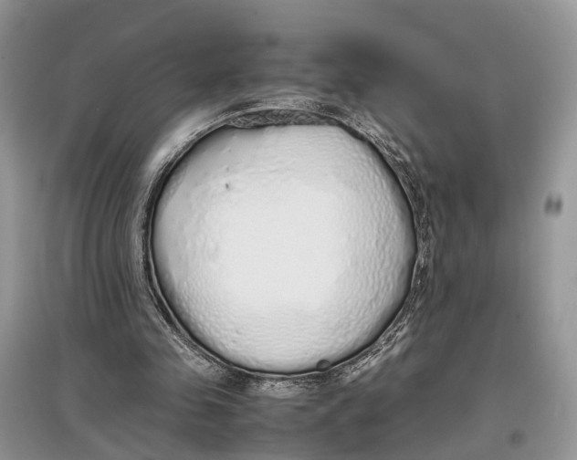 X0000097300341200803071756